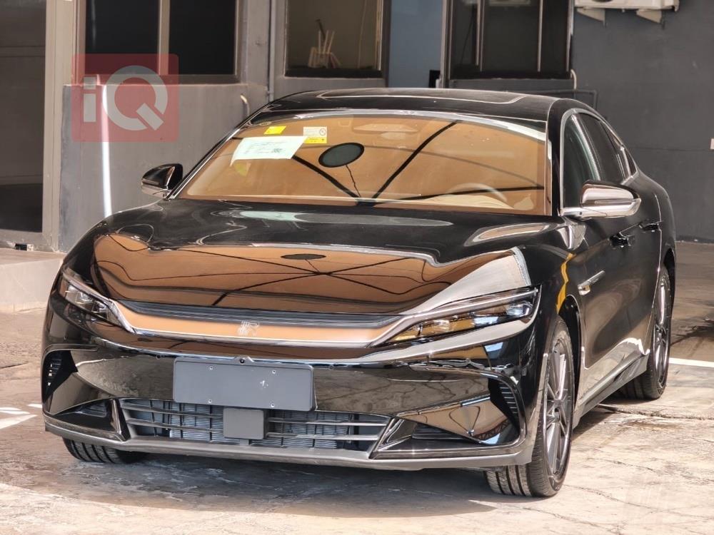 بي واي دي هان